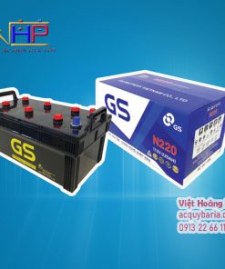Ắc quy Bà Rịa Vũng Tàu Gs-N220-3